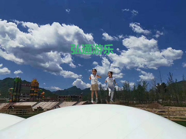 網(wǎng)紅項(xiàng)目